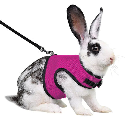 Small Mesh Harness/Leash