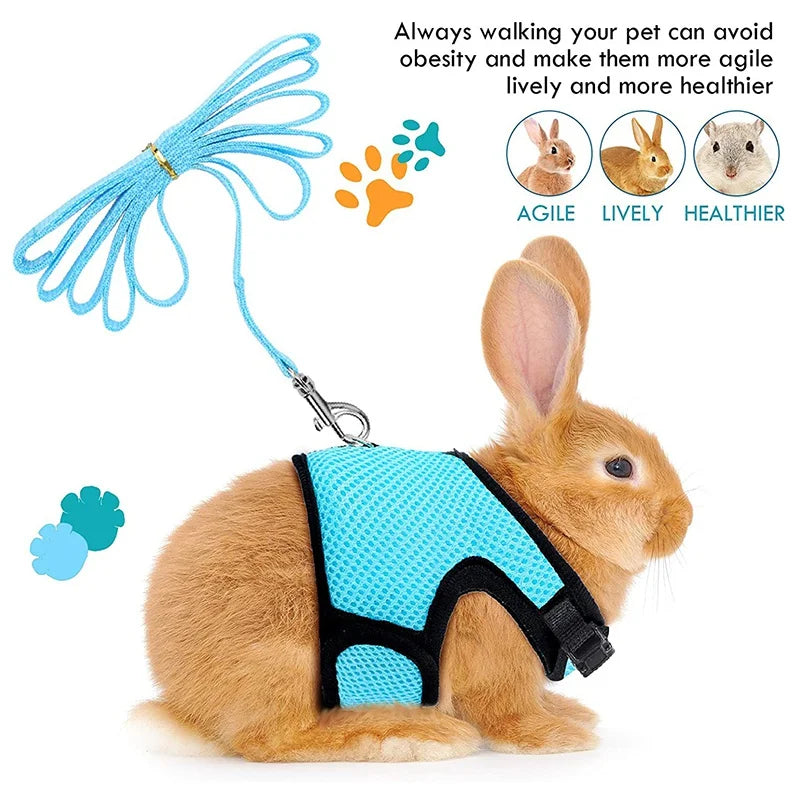 Small Mesh Harness/Leash