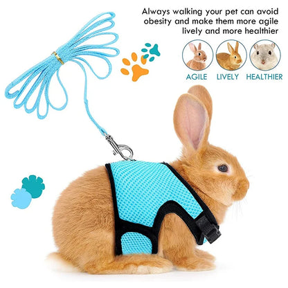 Small Mesh Harness/Leash