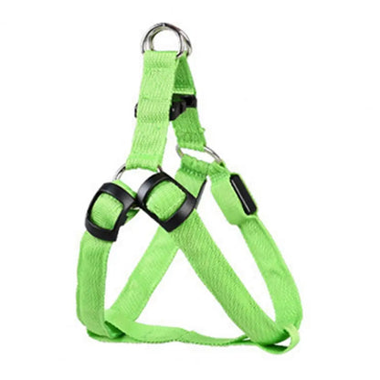 Harness USB Rechargeable