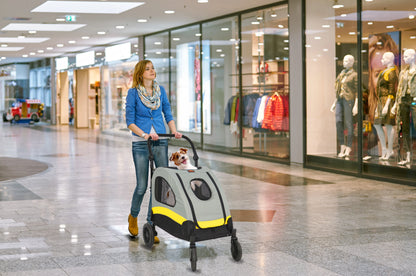 Portable Outdoor Pet Folding Jogger Wagon