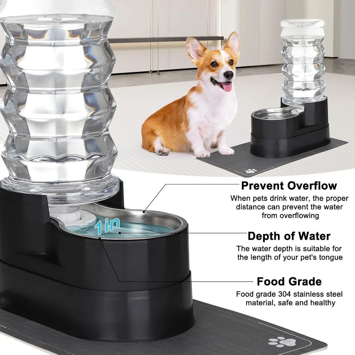 Water Dispenser for Dogs