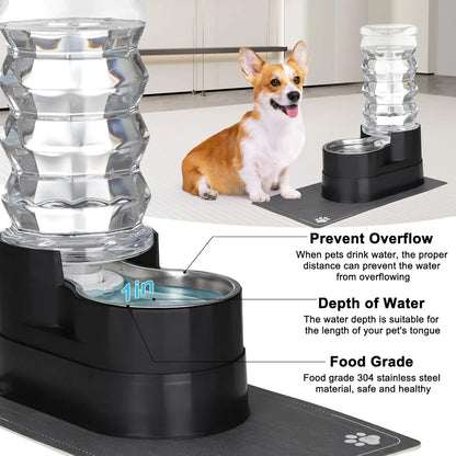 Water Dispenser for Dogs