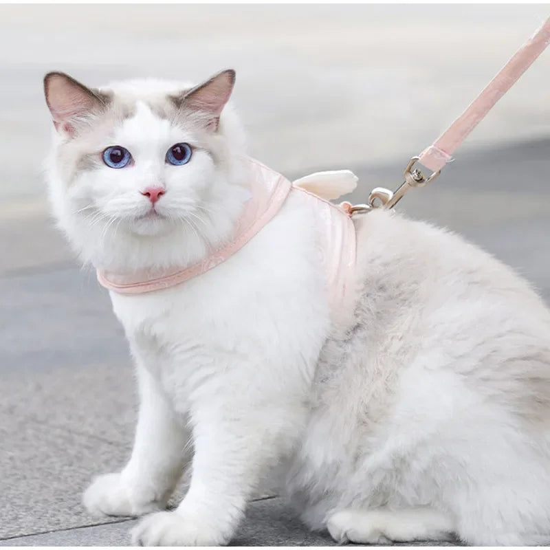 Angel Wing Vest Cat Dog Set