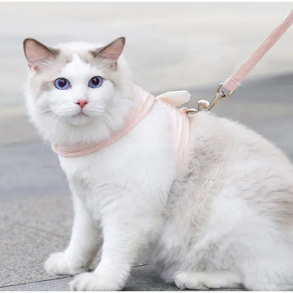 Angel Wing Vest Cat Dog Set