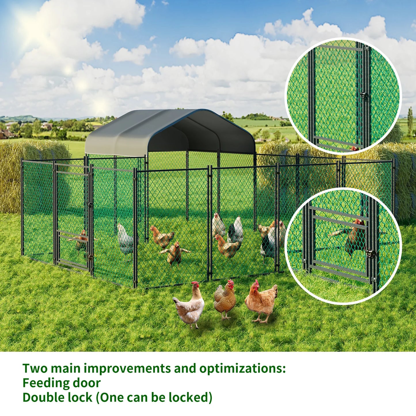 Chicken Coop