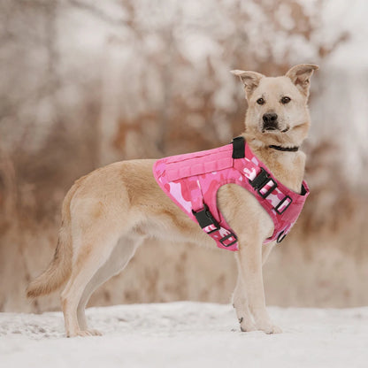 Military Pink Camouflage Dog Harness