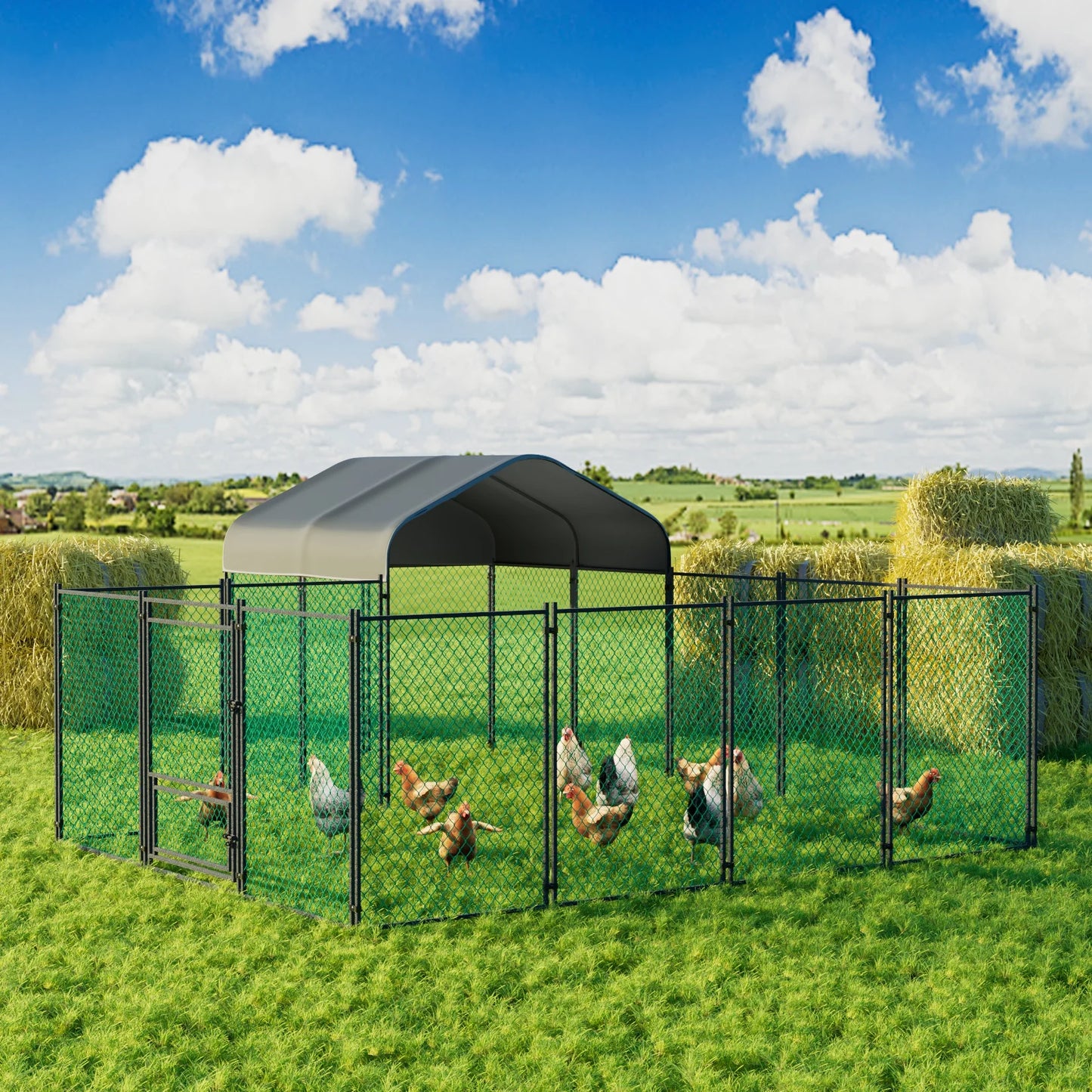 Chicken Coop