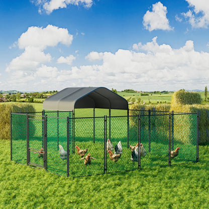Chicken Coop