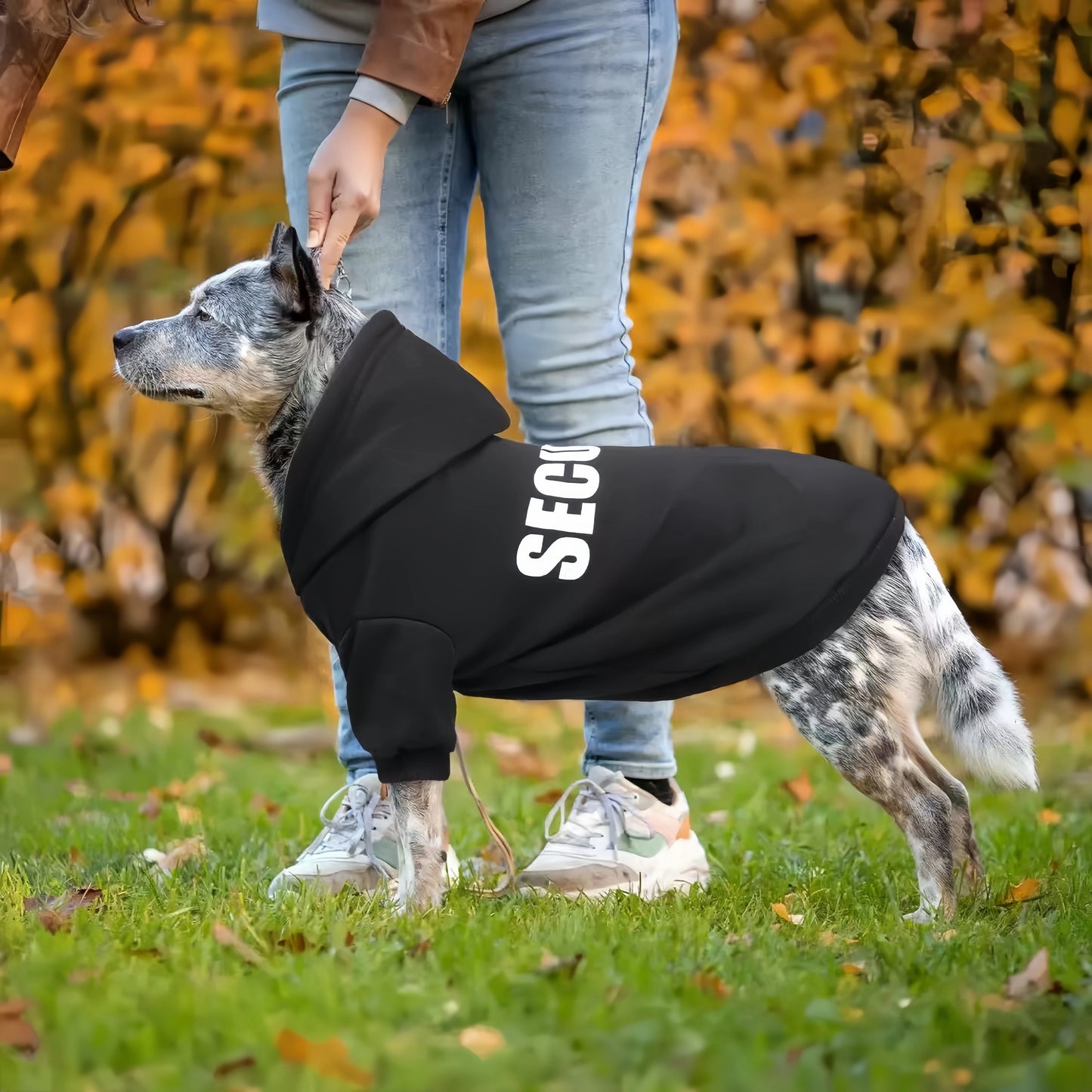 Pet Hoodies  Clothes For Small Dogs