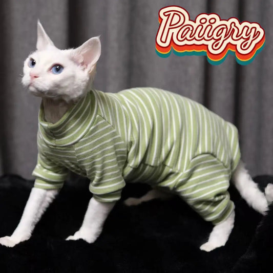 Hairless cat clothes