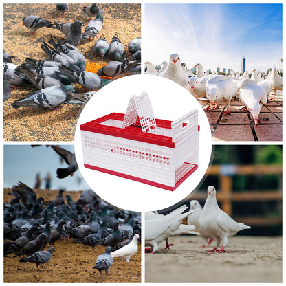Foldable Pigeon Cage with Handle