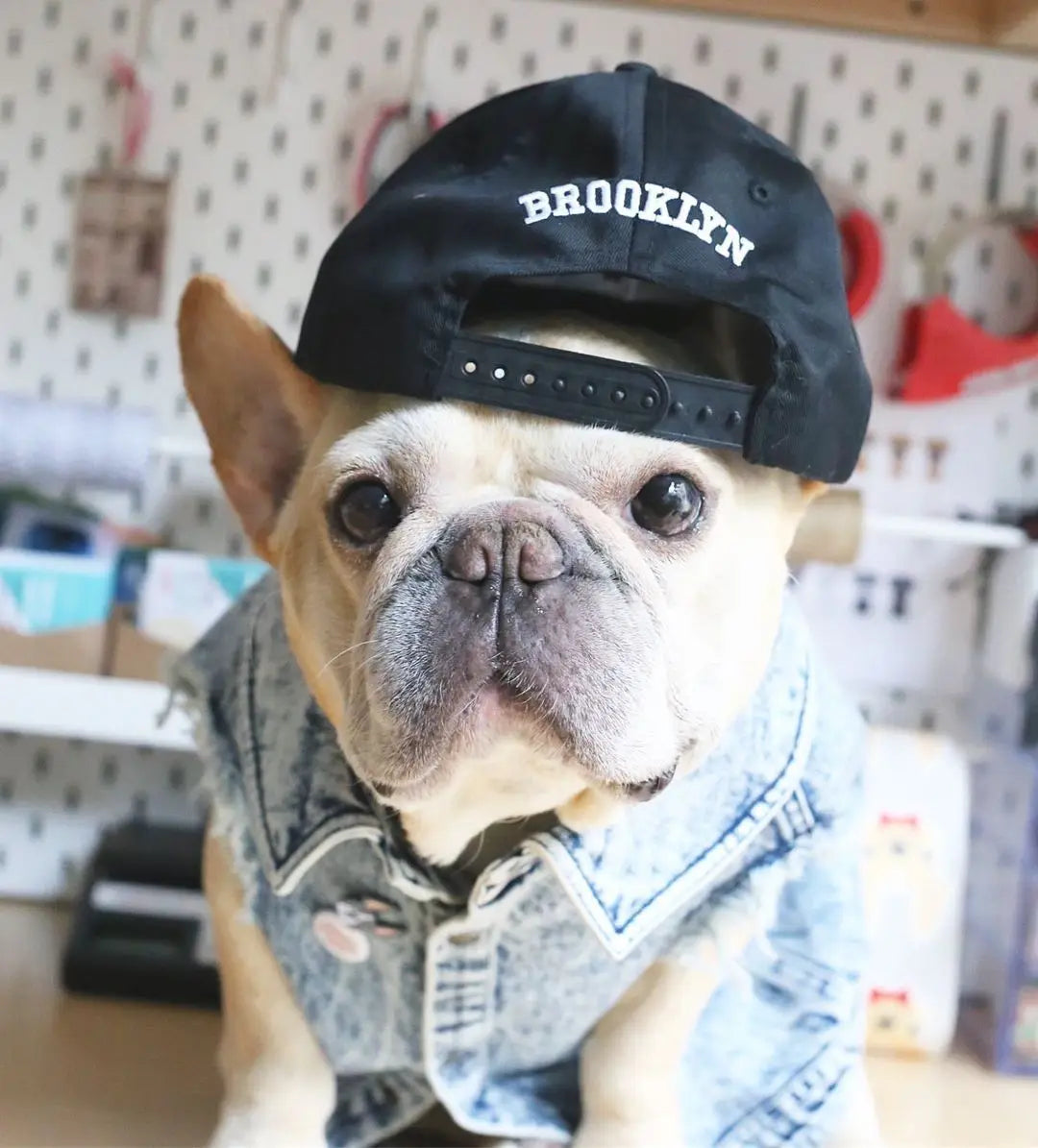 Pet Dog Jeans Jacket Denim Coats