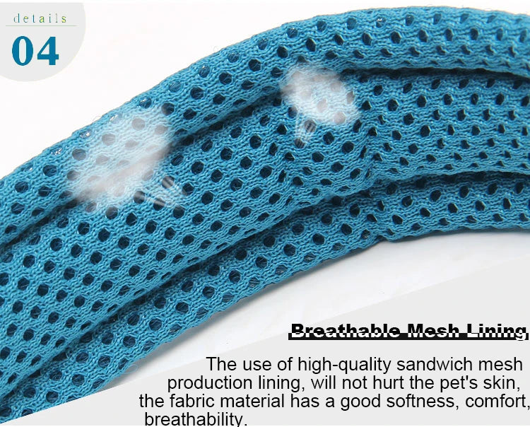 Dog Walking Collar