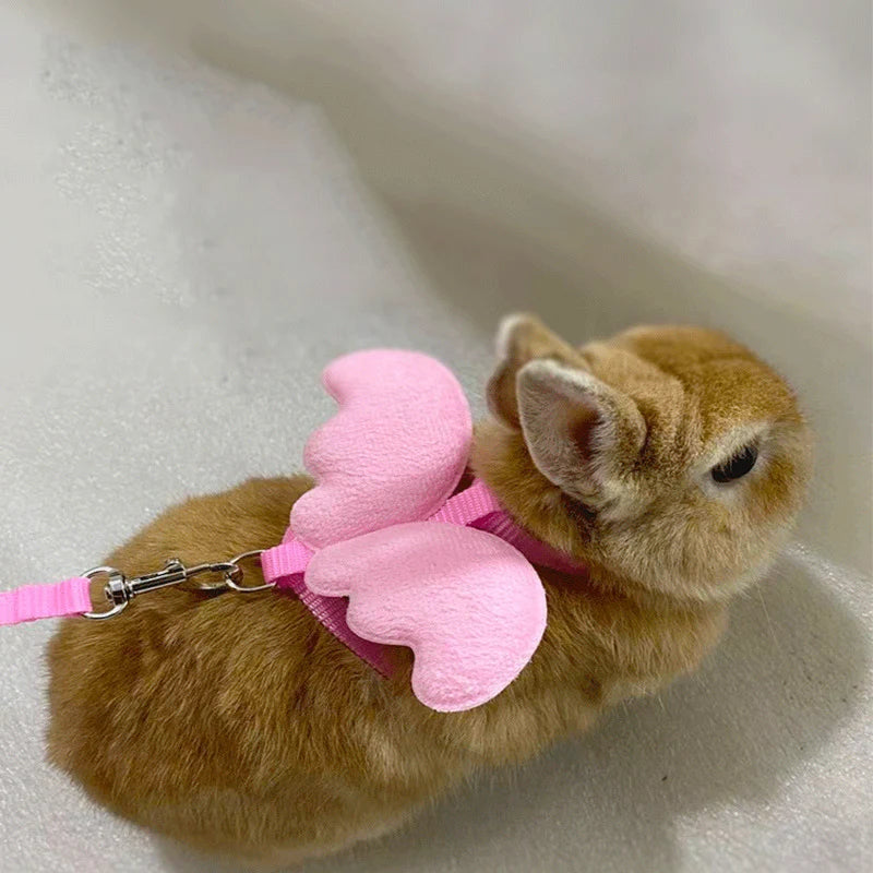 Pet Rabbit and Cat Harness and Leash Set