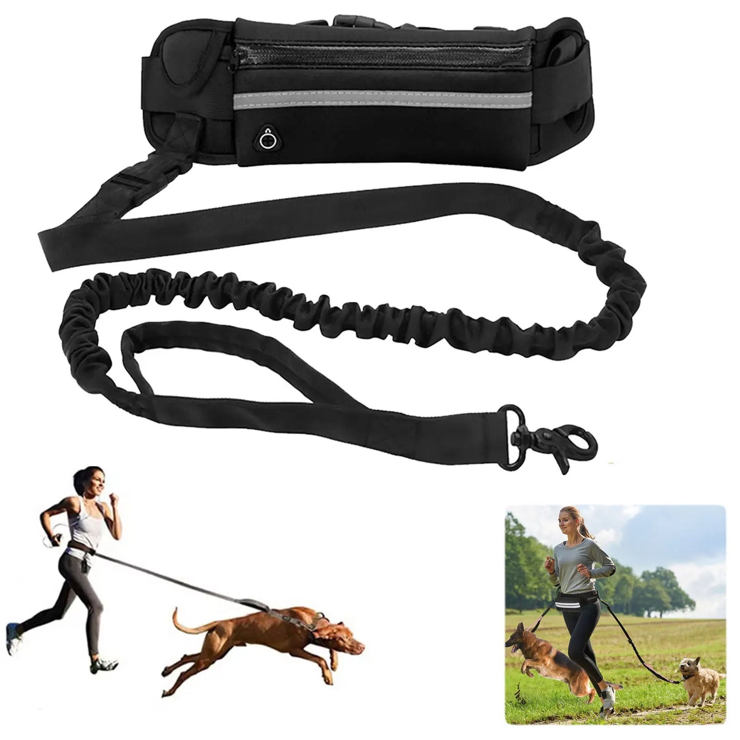 Hands Free Dog Leash