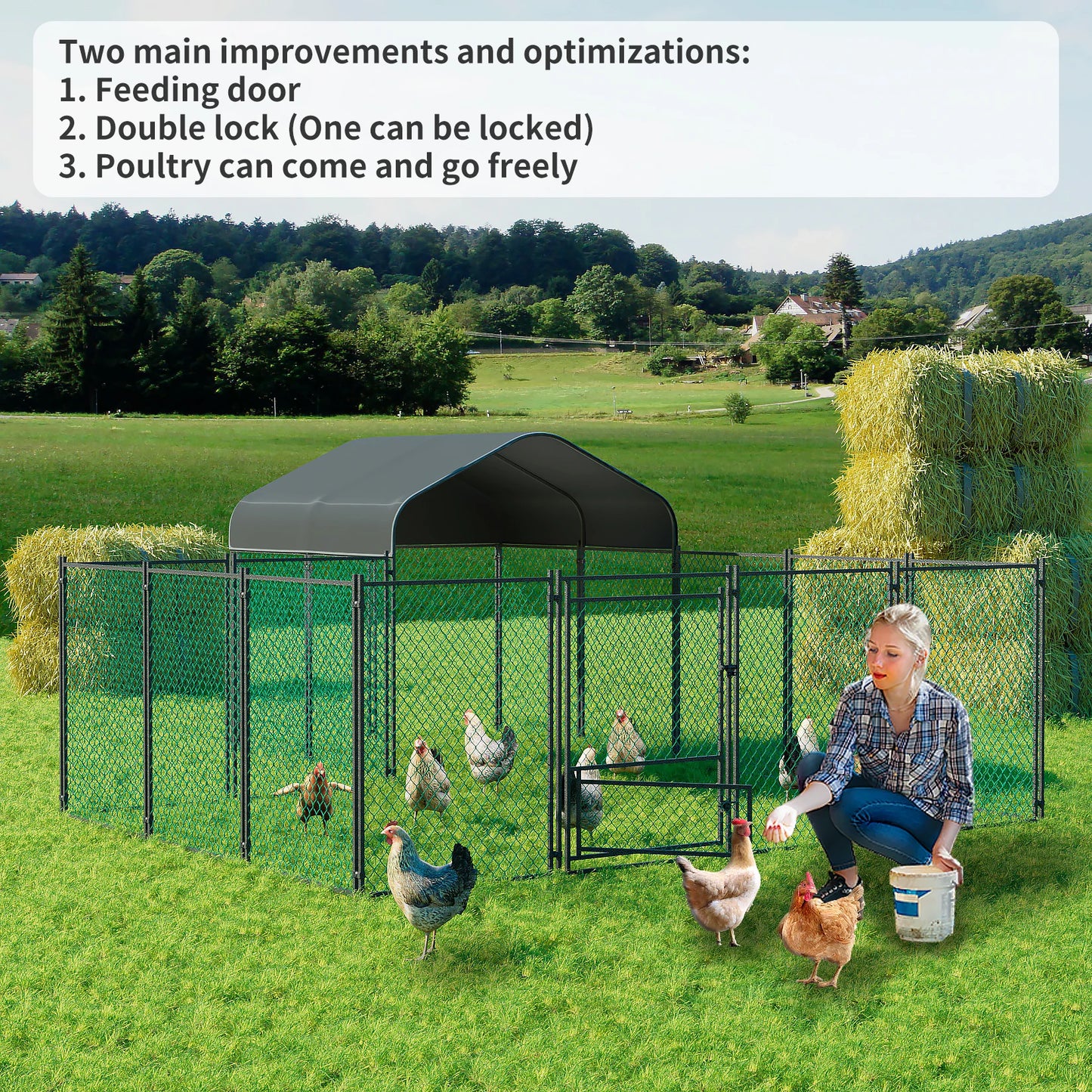 Chicken Coop
