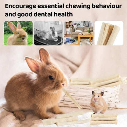 Small Animal Dental Treats for Rabbits Guinea Pigs Chinchillas