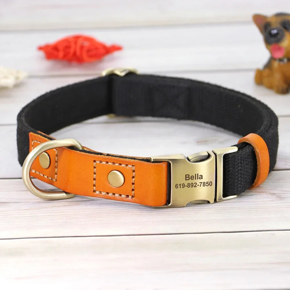 Nylon Custom  Collar Leash Set