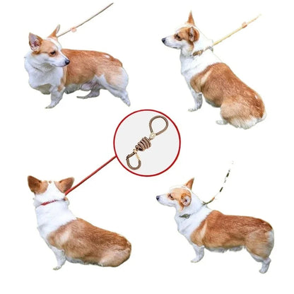 Adjustable Collar Harness Dog Leash