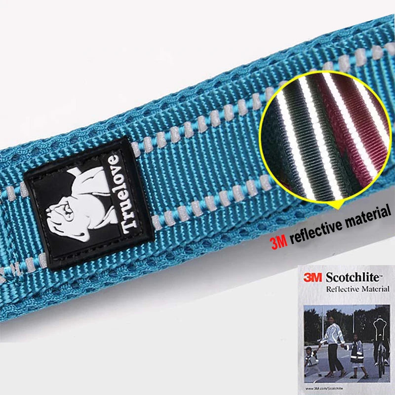 Dog Leash with Padded Handle
