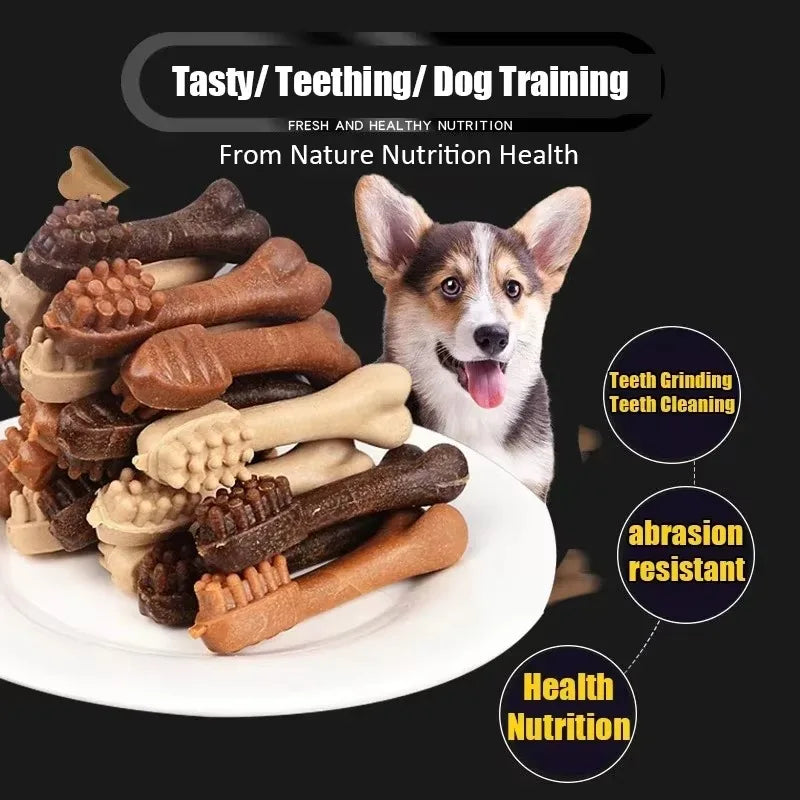 Dog Bruxism Stick