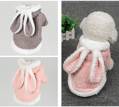 Pet Autumn and Winter Clothes