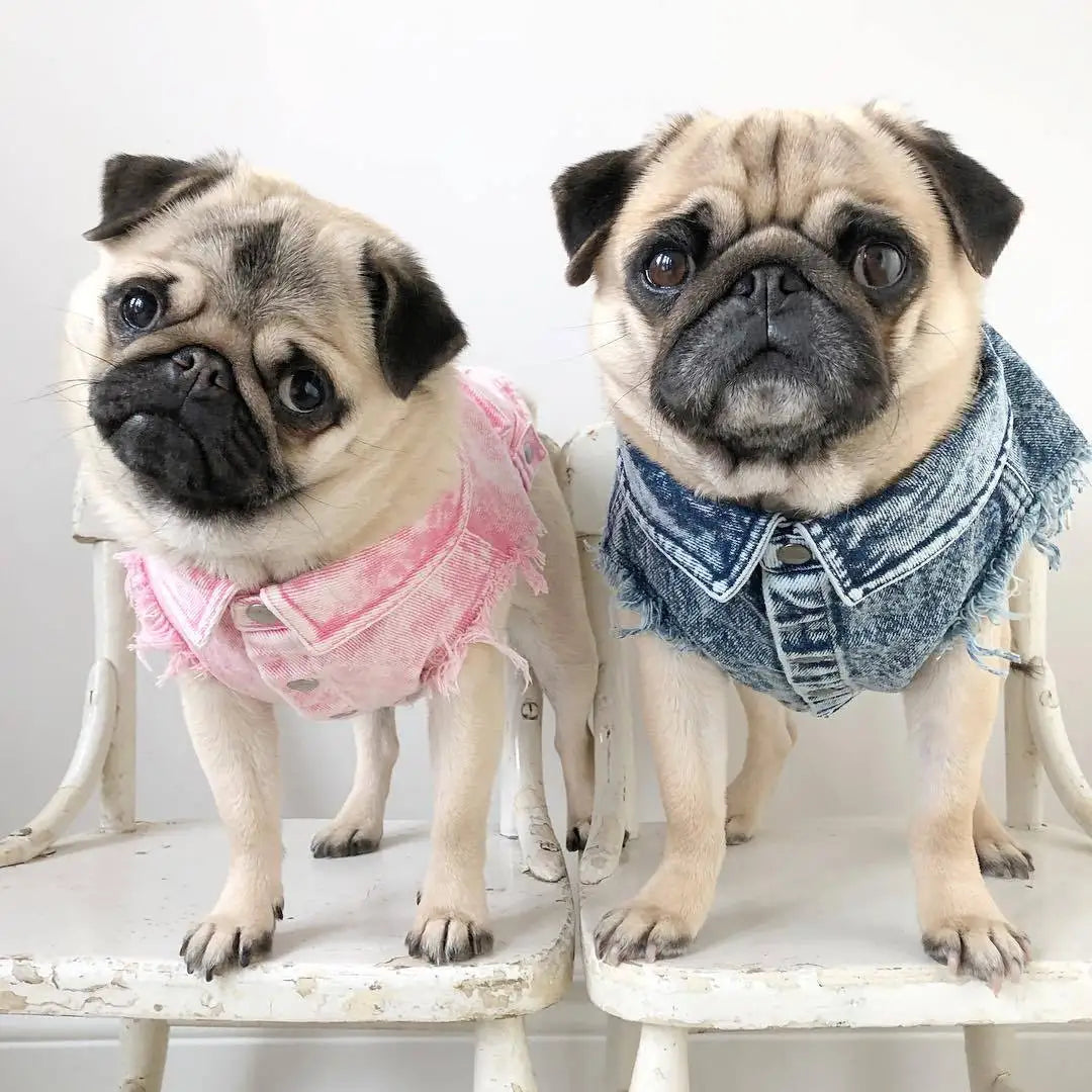 Pet Dog Jeans Jacket Denim Coats