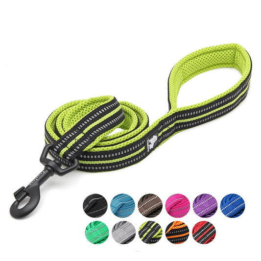 Dog Leash with Padded Handle