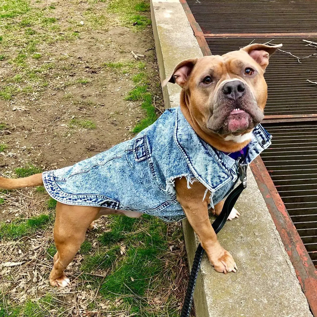 Pet Dog Jeans Jacket Denim Coats