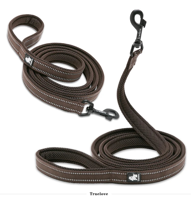 Dog Leash with Padded Handle