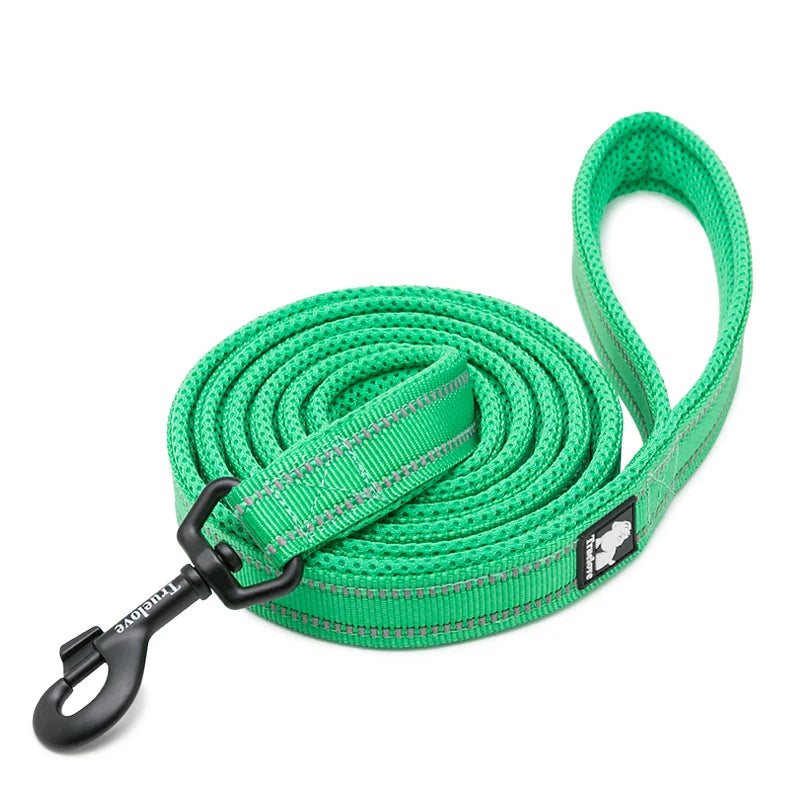 Dog Leash with Padded Handle