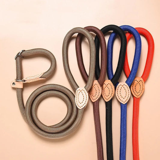 Adjustable Collar Harness Dog Leash