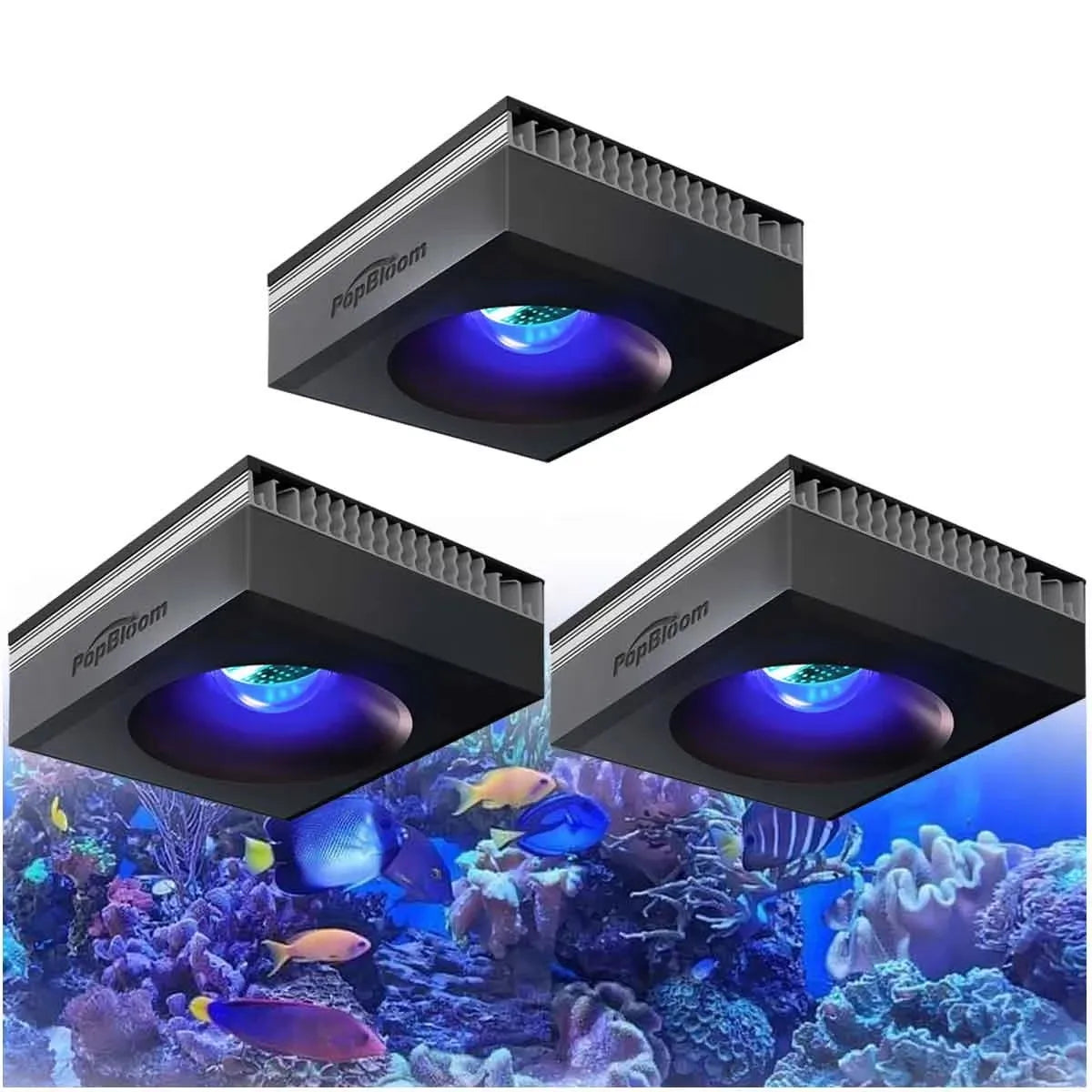 Wi Fi Reef Aquarium Light