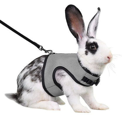 Small Mesh Harness/Leash