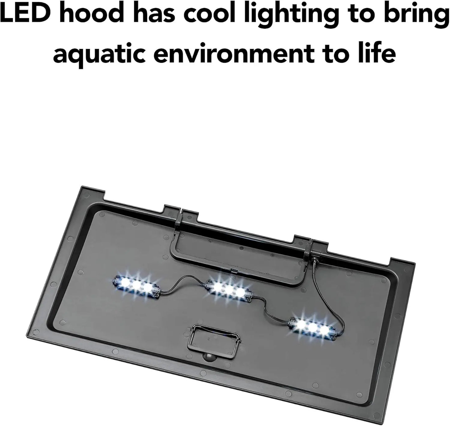 Complete 10 Gallon Aquarium Starter Kit with LED Lighting - Everything Included