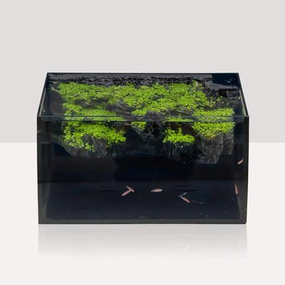 8 Gallon LED Glass Aquarium Kit