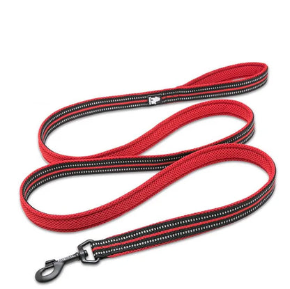 Dog Leash with Padded Handle