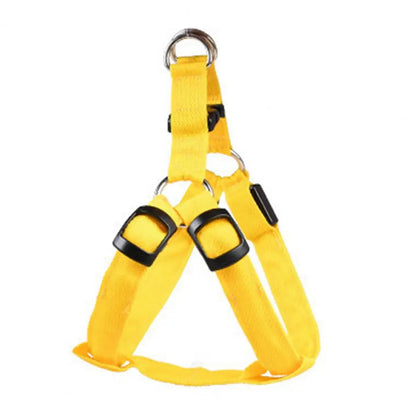 Harness USB Rechargeable