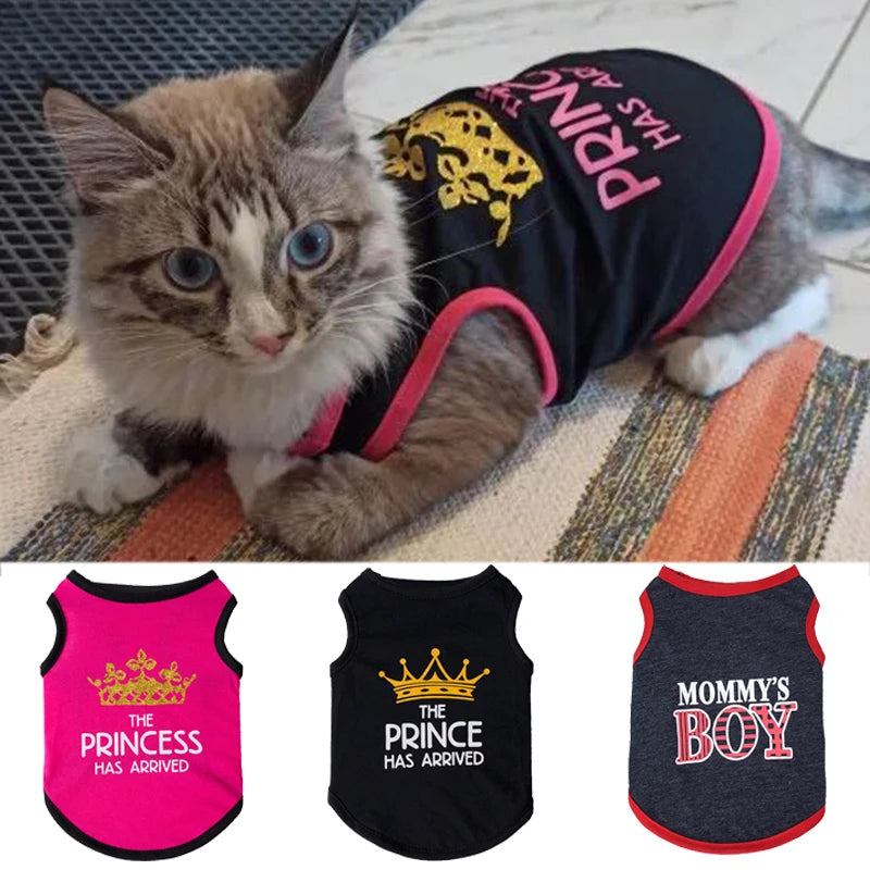 Summer Cotton Sphynx Cat T Shirt Vest