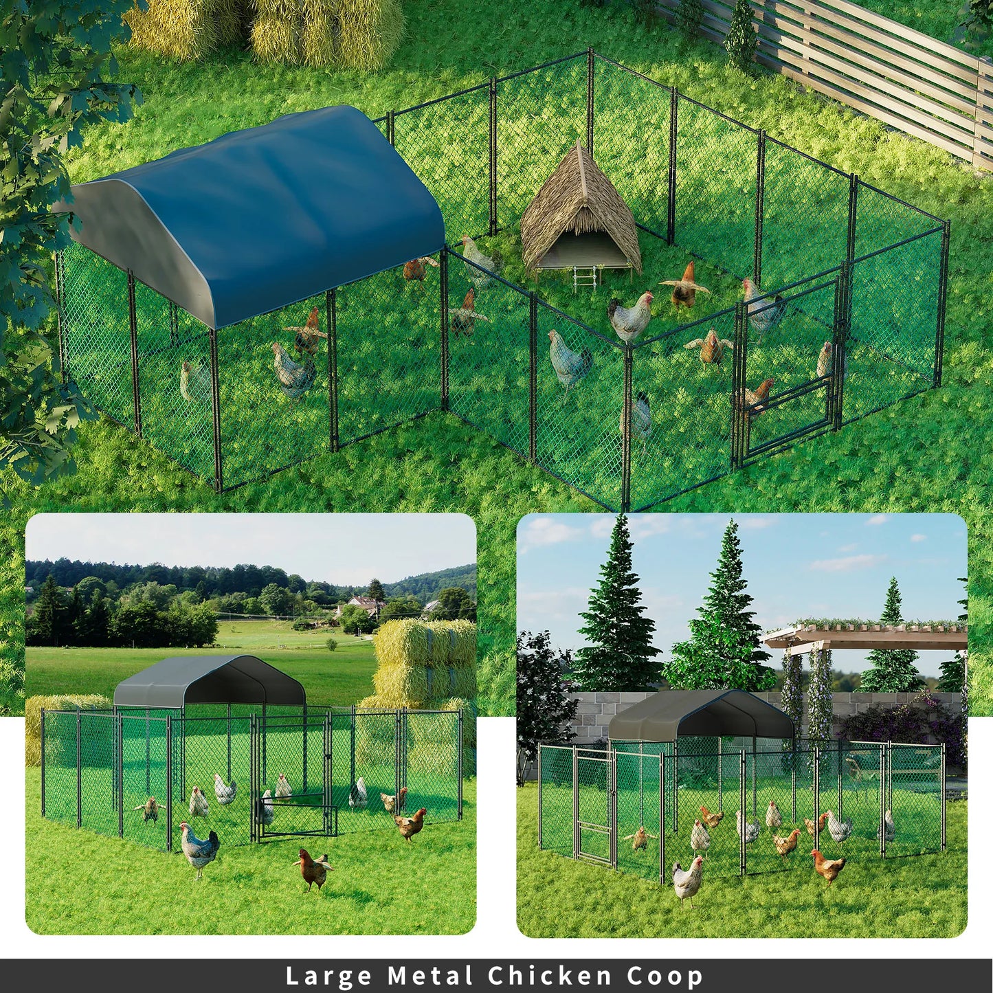 Chicken Coop