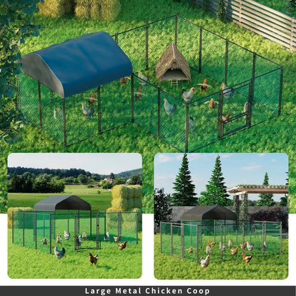 Chicken Coop