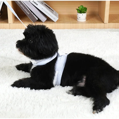 Angel Wing Vest Cat Dog Set