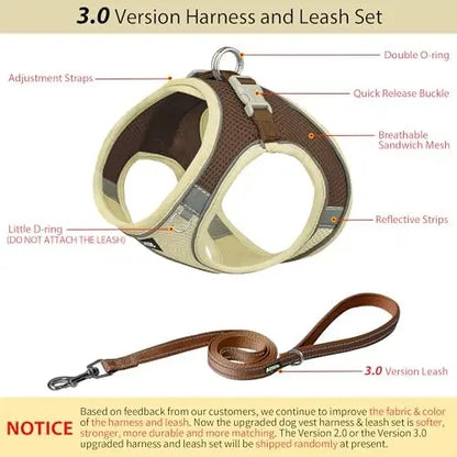 Adjustable Harness & Leash Set