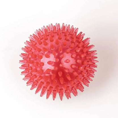 Pet Dog Squeaky Ball Toy