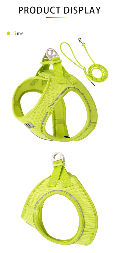 Dog Harness Leash Set