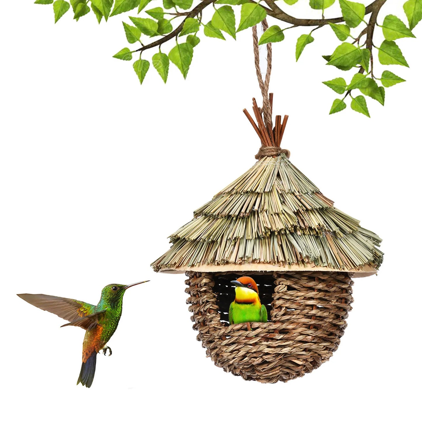 Bird House Hummingbird Nests