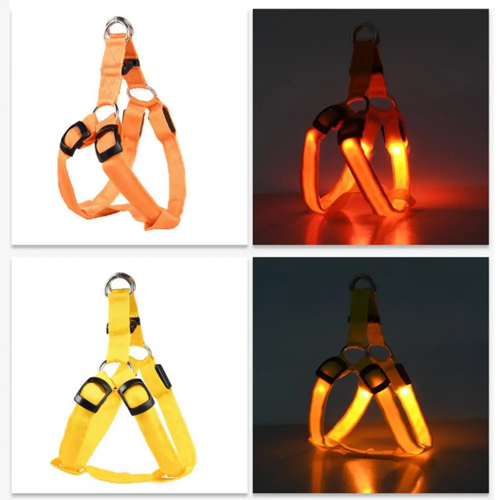 Harness USB Rechargeable