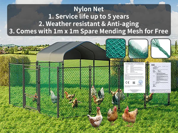 Chicken Coop