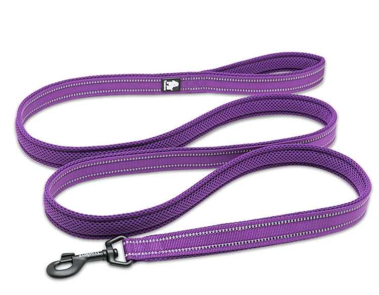 Dog Leash with Padded Handle